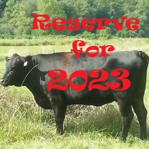 2023 Reservations
