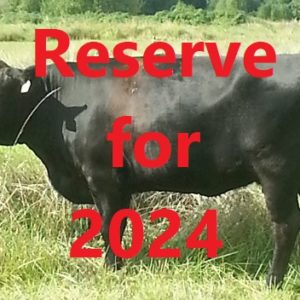 2024 Reservations