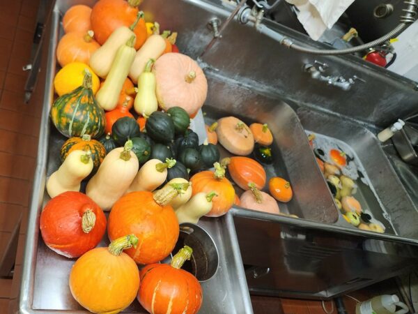 Winter Squash Reservation