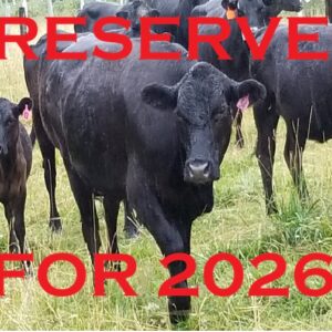 2026 Reservations